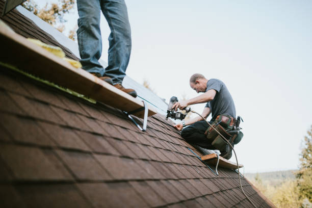 Quick and Trustworthy Emergency Roof Repair Services in Taylorsville, UT